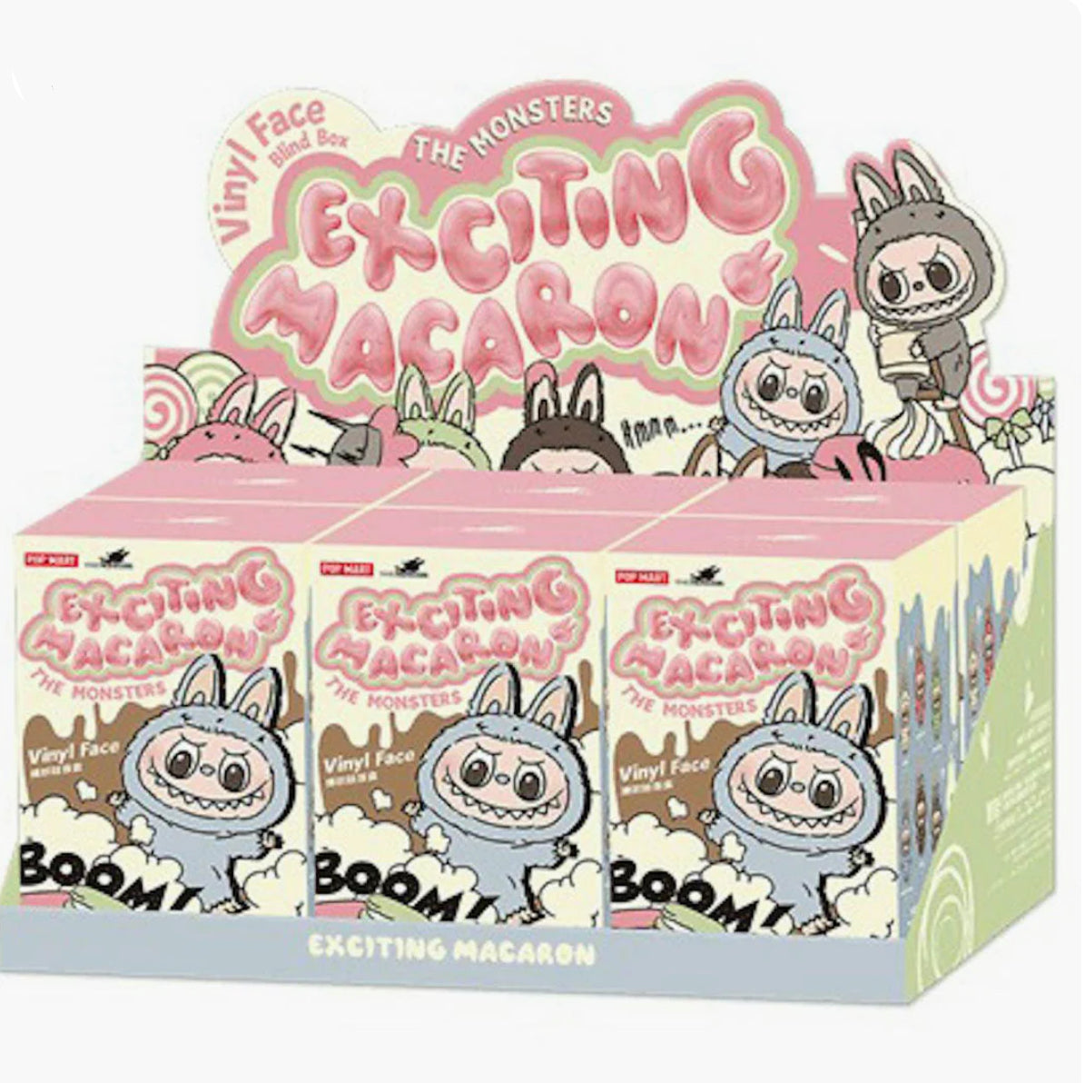 L Exciting Macarons Whole Mystery Box