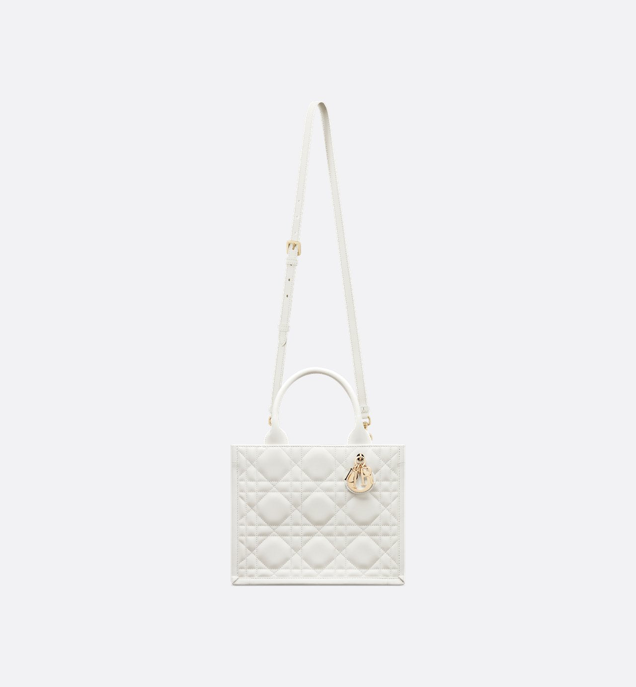 Sac Dior Book Tote Small