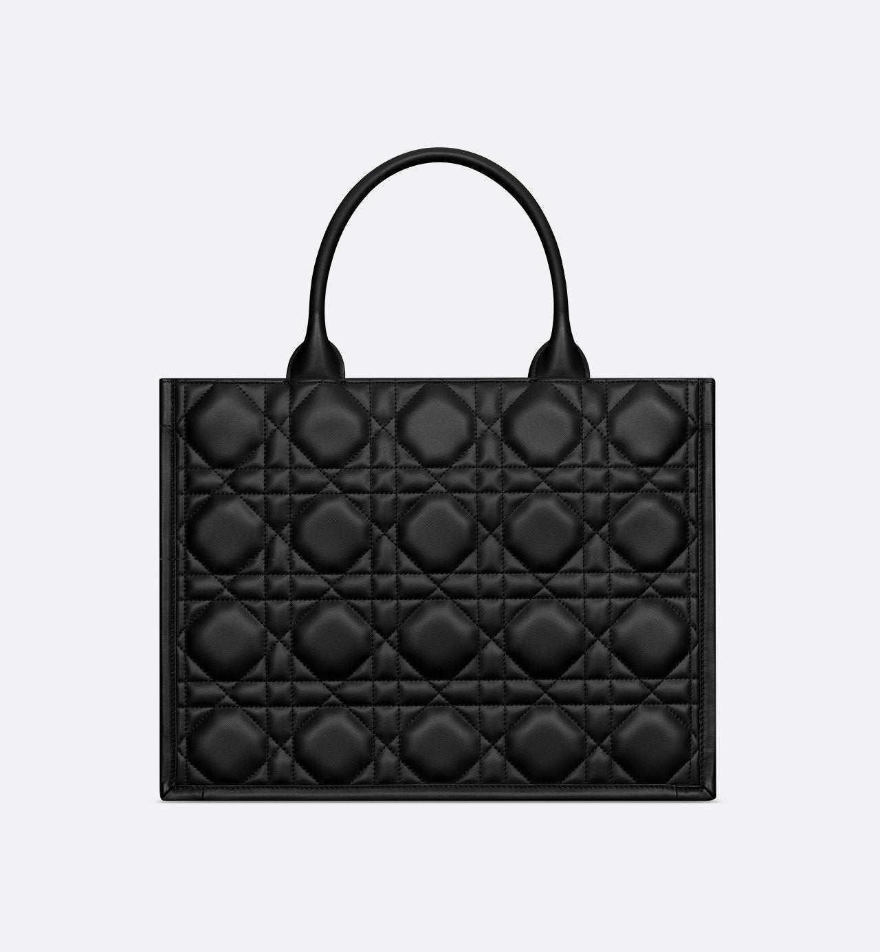 Sac Dior Book Tote Medium