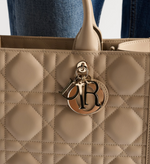 Sac Dior Book Tote Medium