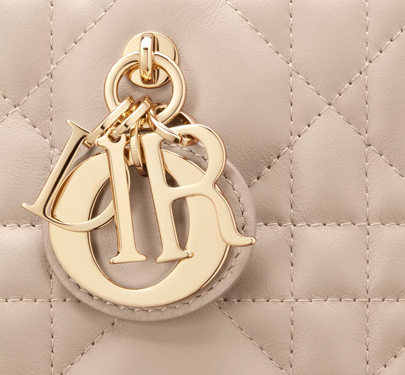 Sac Dior Book Tote Small