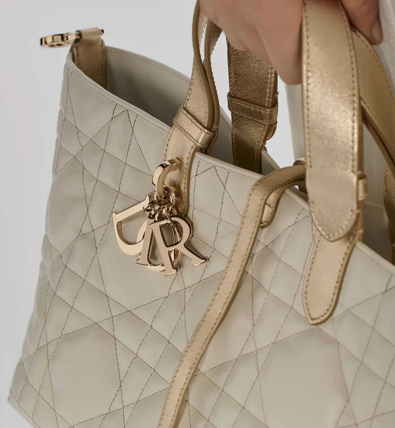 Sac Dior Toujours Medium