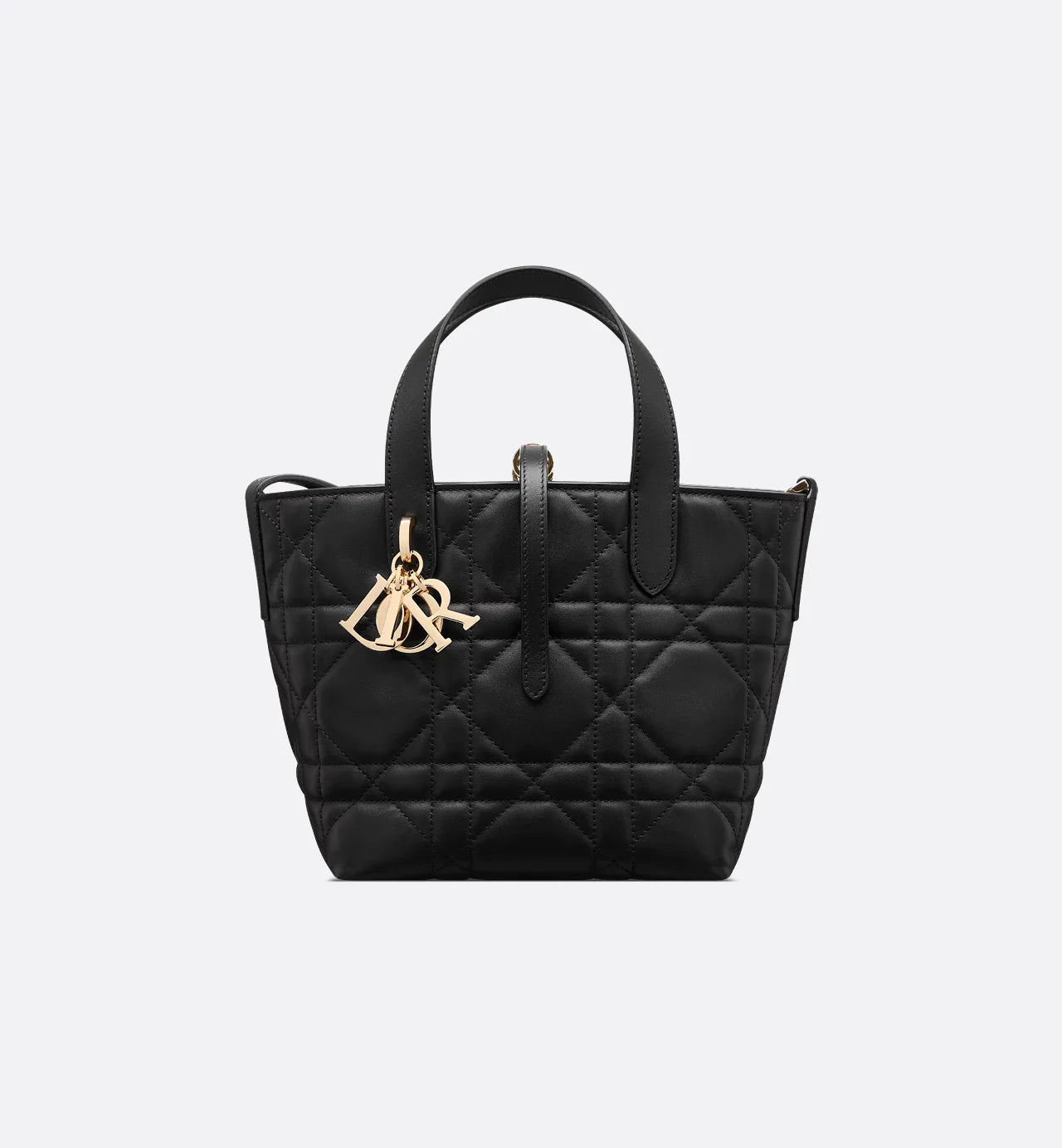 Sac cabas vertical Dior Toujours Small